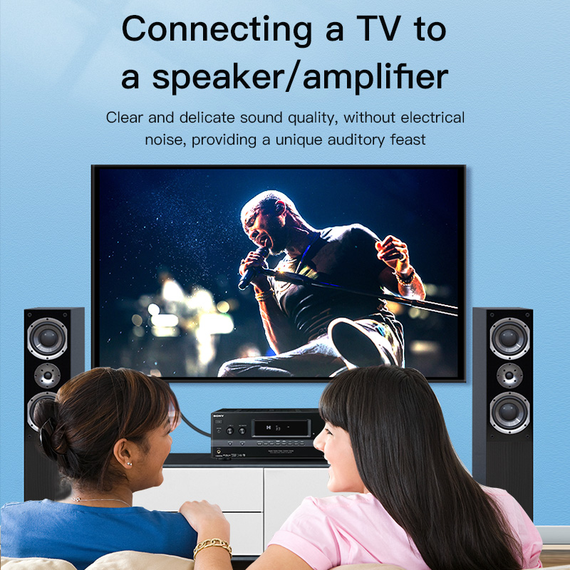Kabel RCA Digital Coaxial Audi – Home Cinema Ampli recenzja i cena